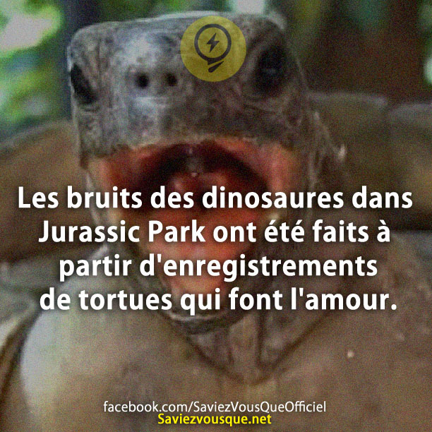 Les bruits des dinosaures dans Jurassic Park ont été faits à partir d&#039;enregistrements de tortues qui font l&#039;amour.