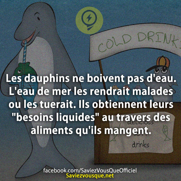 Les dauphins ne boivent pas d&#039;eau. L&#039;eau de mer les rendrait malades ou les tuerait. Ils obtiennent leurs &quot;besoins liquides&quot; au travers des aliments qu&#039;ils mangent.
