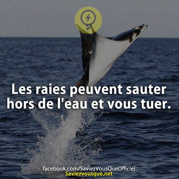 Les raies peuvent sauter hors de l&#039;eau et vous tuer.