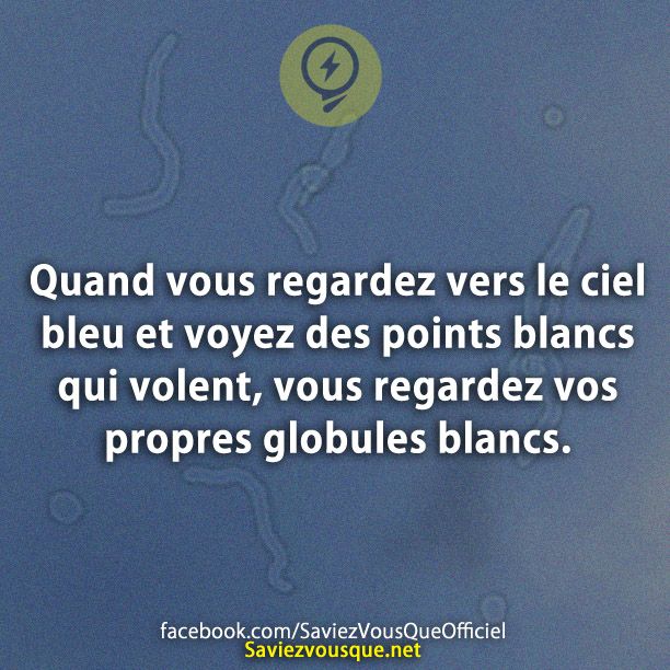 Quand vous regardez vers le ciel bleu et voyez des points blancs qui volent, vous regardez vos propres globules blancs.