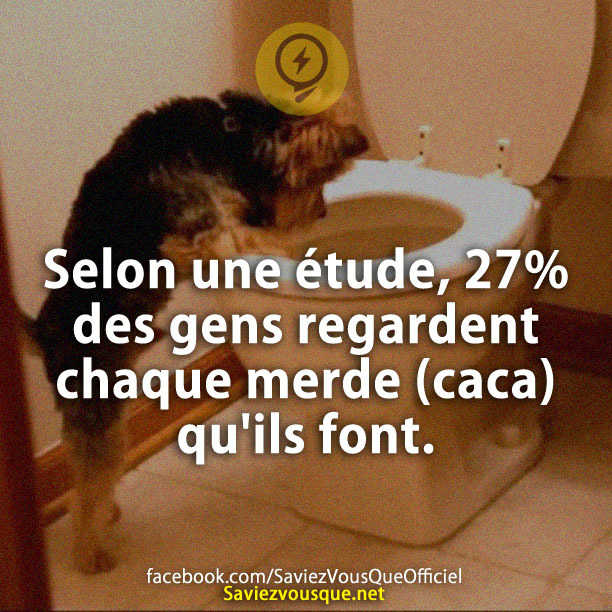 Selon une étude, 27% des gens regardent chaque merde (caca) qu&#039;ils font.