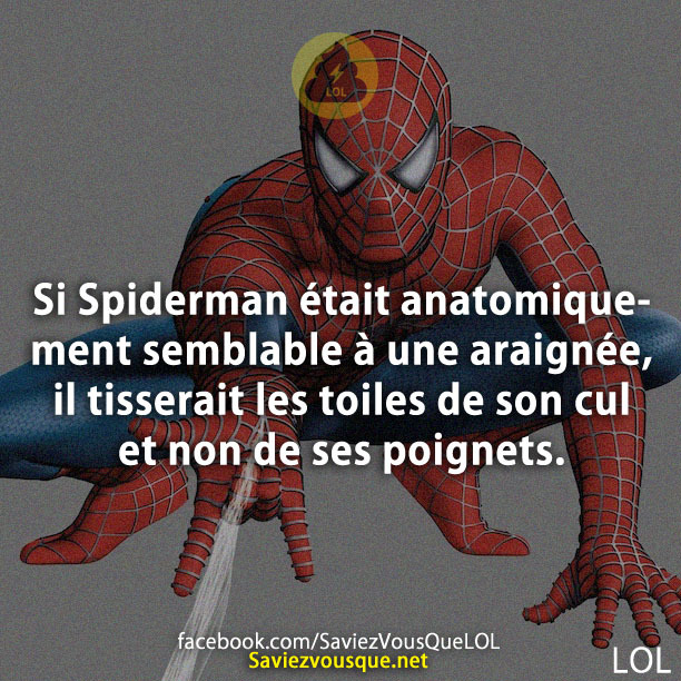 Si Spiderman était anatomiquement semblable à une araignée, il tisserait les toiles de son cul et non de ses poignets.