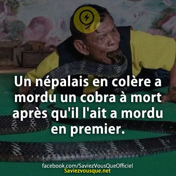 Un népalais en colère a mordu un cobra à mort après qu&#039;il l&#039;ait a mordu en premier.