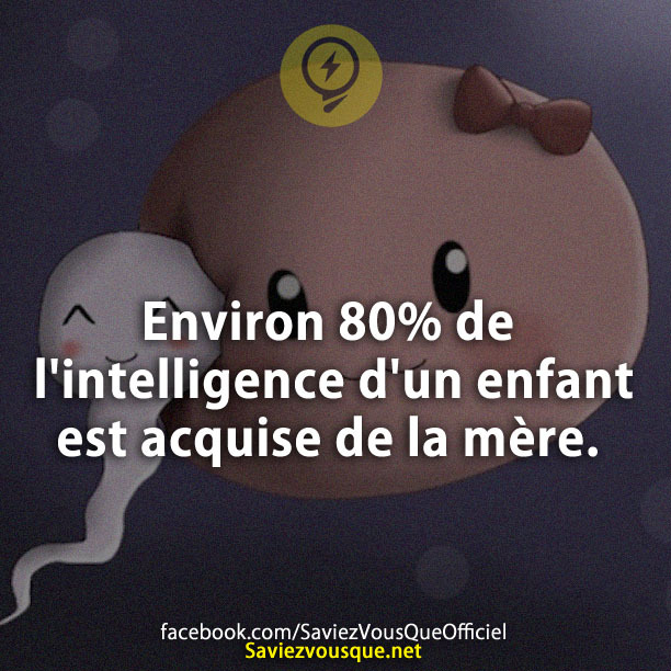 Environ 80% de l&#039;intelligence d&#039;un enfant est acquise de la mère.