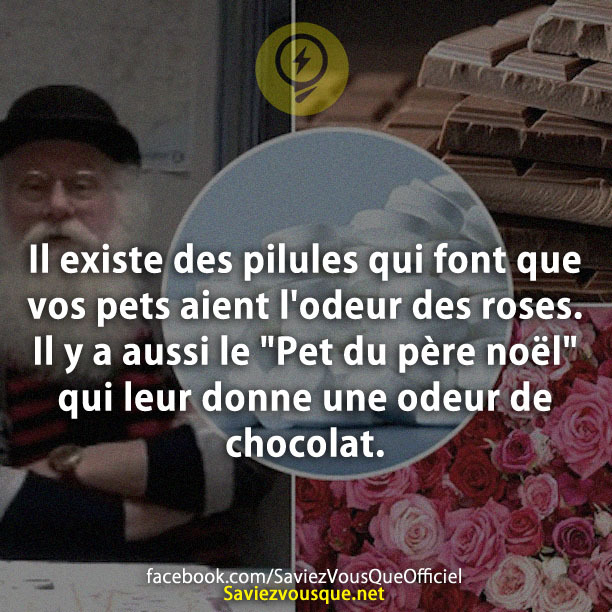 Il existe des pilules qui font que vos pets aient l&#039;odeur des roses. Il y a aussi le &quot;Pet du père noël&quot; qui leur donne une odeur de chocolat !