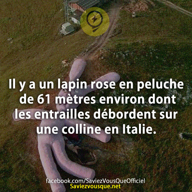 Il y a un lapin rose en peluche de 61 mètres environ dont les entrailles débordent sur une colline en Italie.