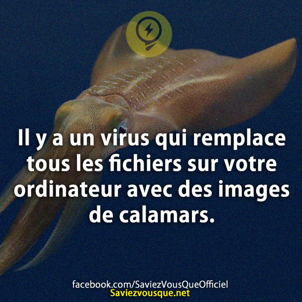 Il y a un virus qui remplace tous les fichiers sur votre ordinateur avec des images de calamars.