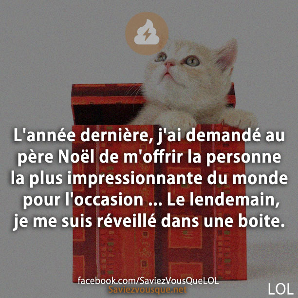 L&#039;année dernière, j&#039;ai demandé au père Noël de m&#039;offrir la personne la plus impressionnante du monde pour l&#039;occasion ... Le lendemain, je me suis réveillé dans une boite.