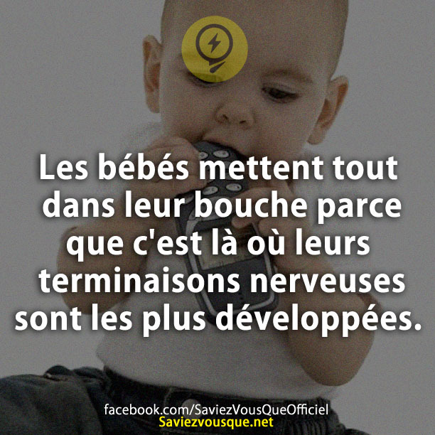 Les bébés mettent tout dans leur bouche parce que c&#039;est là où leurs terminaisons nerveuses sont les plus développées.