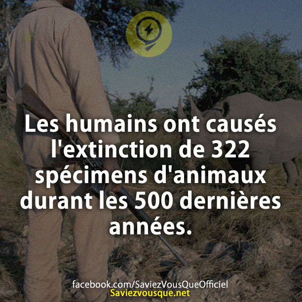 Les humains ont causés l&#039;extinction de 322 spécimens d&#039;animaux durant les 500 dernières années.