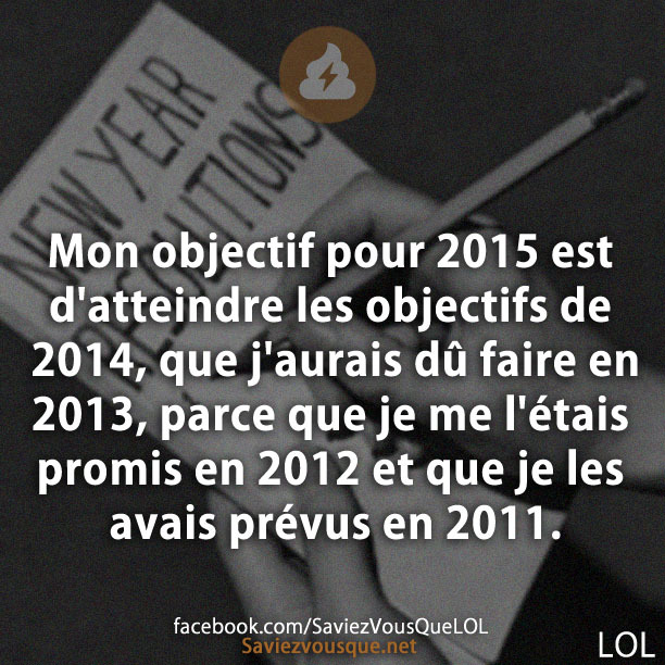 Mon objectif pour 2015 est d&#039;atteindre les objectifs de 2014, que j&#039;aurais dû faire en 2013, parce que je me l&#039;étais promis en 2012 et que je les avais prévus en 2011.