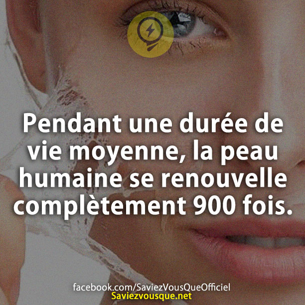 Pendant une durée de vie moyenne, la peau humaine se renouvelle complètement 900 fois.