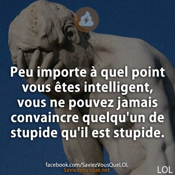Peu importe à quel point vous êtes intelligent, vous ne pouvez jamais convaincre quelqu'un de stupide qu'il est stupide.