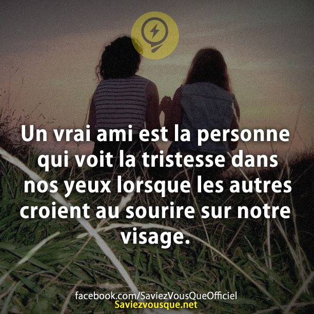 Un vrai ami est la personne qui voit la tristesse dans nos yeux lorsque les autres croient au sourire sur notre visage.