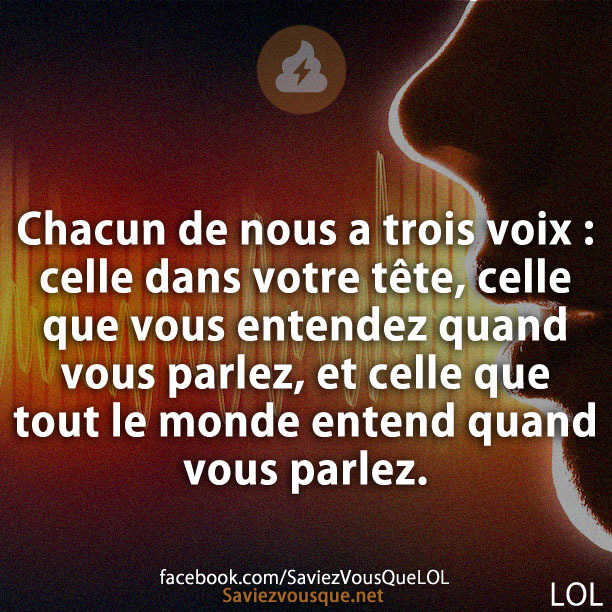 Chacun de nous a trois voix : celle dans votre tête, celle que vous entendez quand vous parlez, et celle que tout le monde entend quand vous parlez.