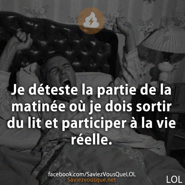 Je déteste la partie de la matinée où je dois sortir du lit et participer à la vie réelle.
