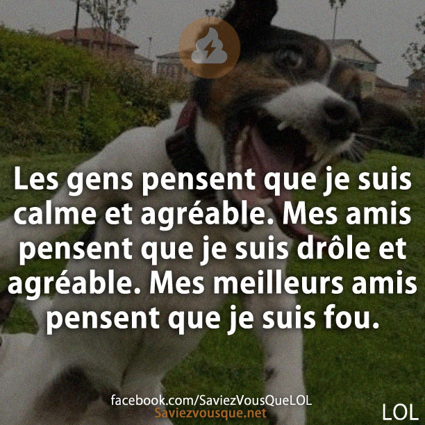 Les gens pensent que je suis calme et agréable. Mes amis pensent que je suis drôle et agréable. Mes meilleurs amis pensent que je suis fou.