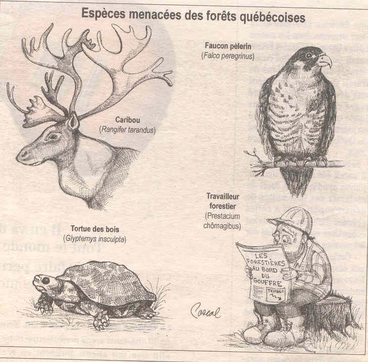 Les humains sont les seules créatures dans ce monde, qui coupent les arbres, en font du papier, pour y écrire &quot;Sauvons les arbres ! ».