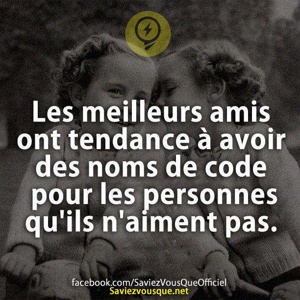 Les meilleurs amis ont tendance à avoir des noms de code pour les personnes qu&#039;ils n&#039;aiment pas.