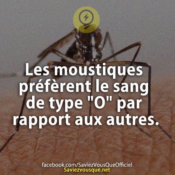 Les moustiques préfèrent le sang de type &quot;O&quot; par rapport aux autres.