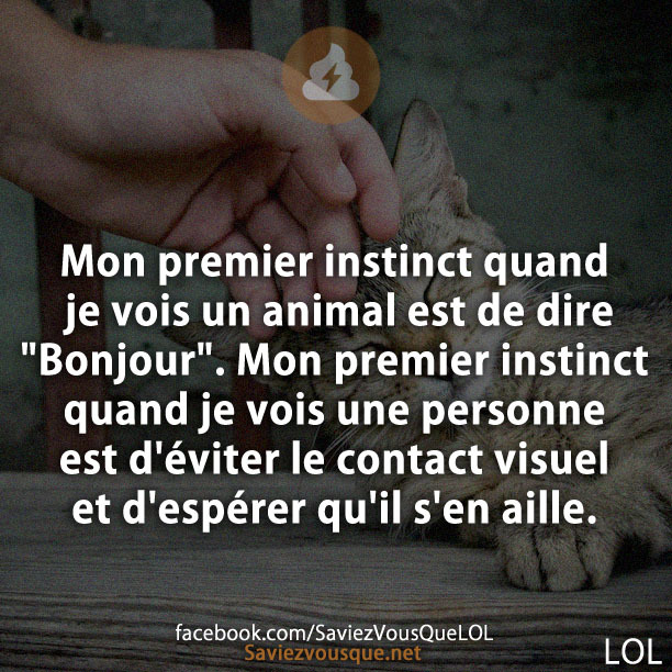 Mon premier instinct quand je vois un animal est de dire &quot;Bonjour&quot;. Mon premier instinct quand je vois une personne est d&#039;éviter le contact visuel et d&#039;espérer qu&#039;il s&#039;en aille.