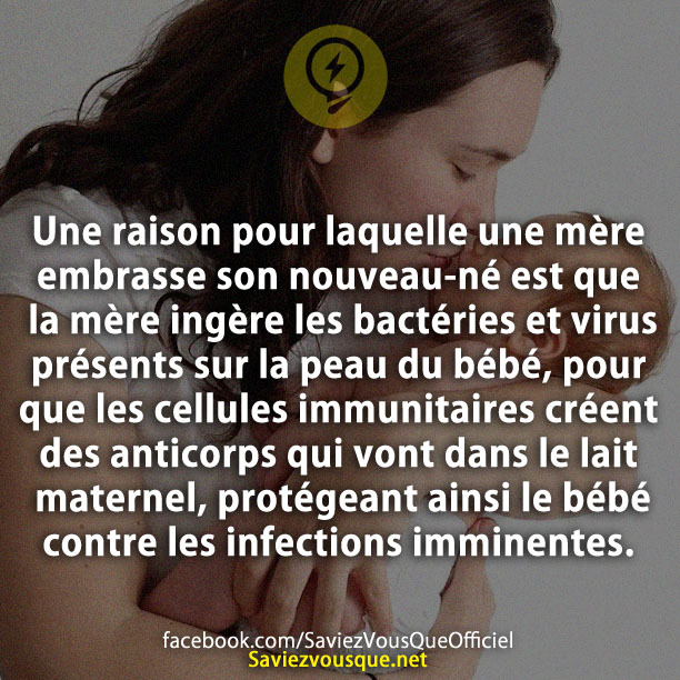 Une raison pour laquelle une mère embrasse son nouveau-né est que la mère ingère les bactéries et virus présents sur la peau du bébé, pour que les cellules immunitaires créent des anticorps qui vont dans le lait maternel, protégeant ainsi le bébé contre les infections imminentes.