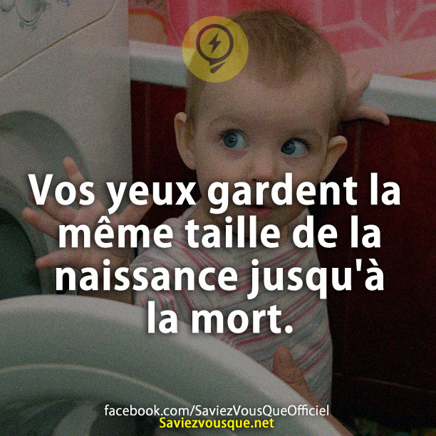 Vos yeux gardent la même taille de la naissance jusqu&#039;à la mort.