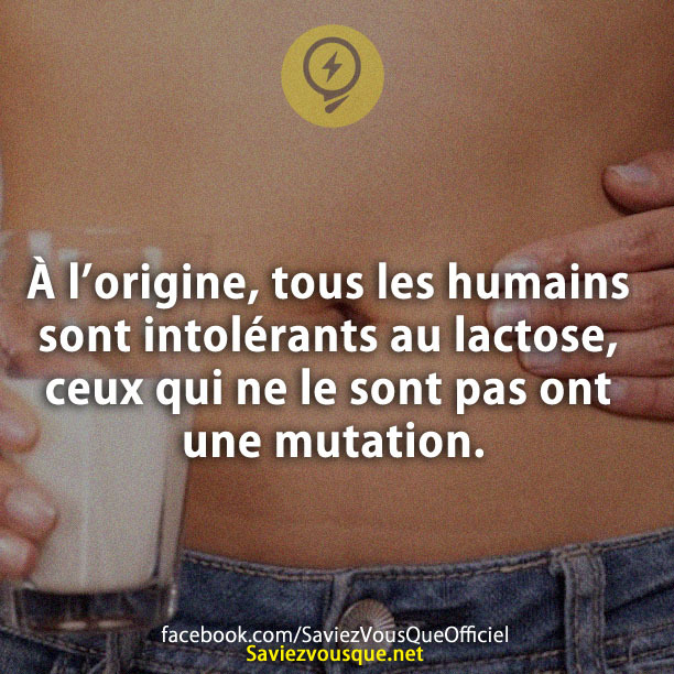 À l’origine, tous les humains sont intolérants au lactose, ceux qui ne le sont pas ont une mutation.