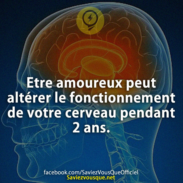 Etre amoureux peut altérer le fonctionnement de votre cerveau pendant 2 ans.