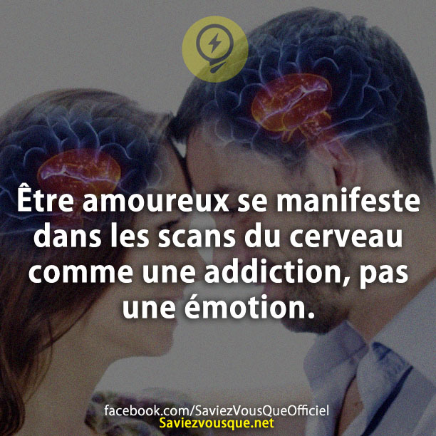 Être amoureux se manifeste dans les scans du cerveau comme une addiction, pas une émotion.
