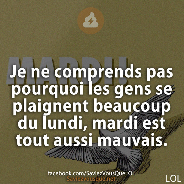 Je ne comprends pas pourquoi les gens se plaignent beaucoup du lundi, mardi est tout aussi mauvais.