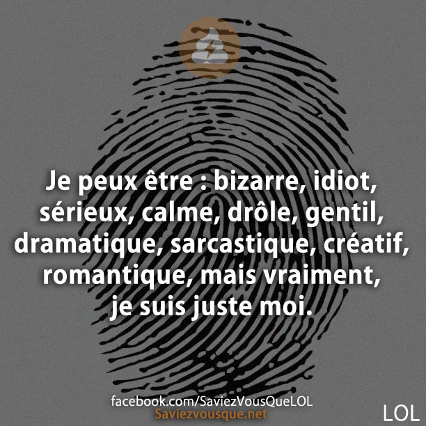Je peux être : bizarre, idiot, sérieux, calme, drôle, gentil, dramatique, sarcastique, créatif, romantique, mais vraiment, je suis juste moi.