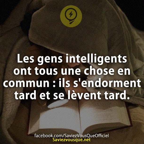 Les gens intelligents ont tous une chose en commun : ils s'endorment tard et se lèvent tard.