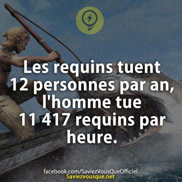 Les requins tuent 12 personnes par an, l&#039;homme tue 11 417 requins par heure.