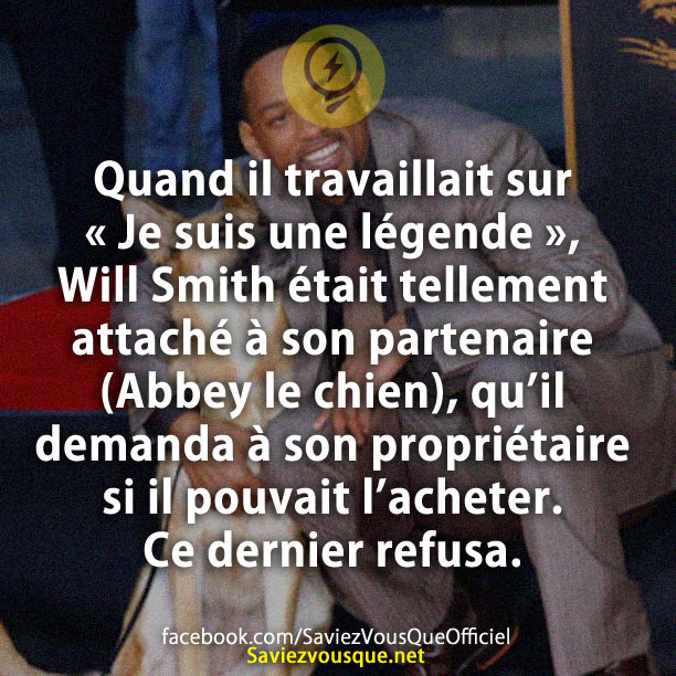 Quand il travaillait sur « Je suis une légende », Will Smith était tellement attaché à son partenaire (Abbey le chien), qu’il demanda à son propriétaire si il pouvait l’acheter. Ce dernier refusa.