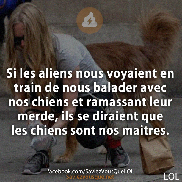Si les aliens nous voyaient en train de nous balader avec nos chiens et ramassant leur merde, ils se diraient que les chiens sont nos maitres.