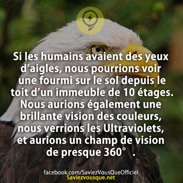 Si les humains avaient des yeux d’aigles, nous pourrions voir une fourmi sur le sol depuis le toit d’un immeuble de 10 étages. Nous aurions également une brillante vision des couleurs, nous verrions les Ultraviolets, et aurions un champ de vision de presque 360°.