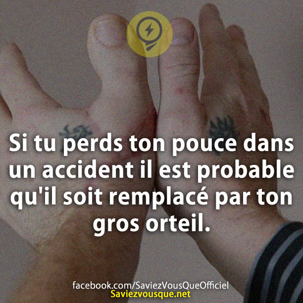 Si tu perds ton pouce dans un accident il est probable qu&#039;il soit remplacé par ton gros orteil.