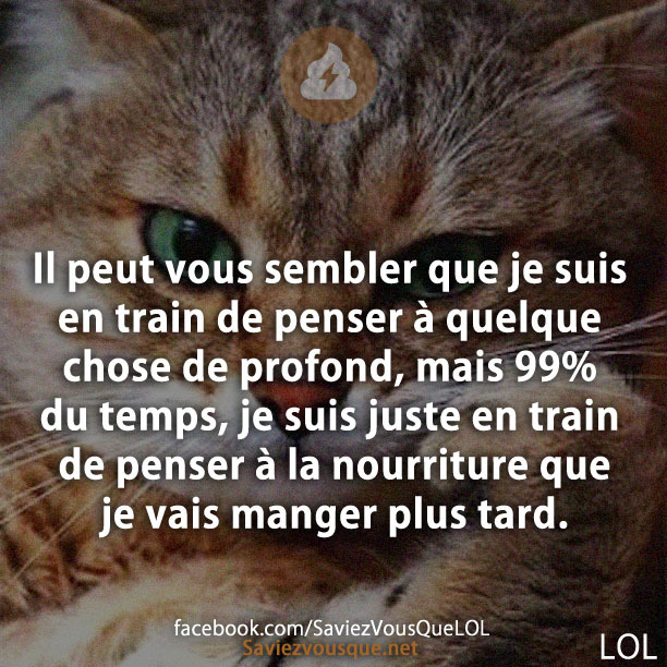 Il peut vous sembler que je suis en train de penser à quelque chose de profond, mais 99% du temps, je suis juste en train de penser à la nourriture que je vais manger plus tard.
