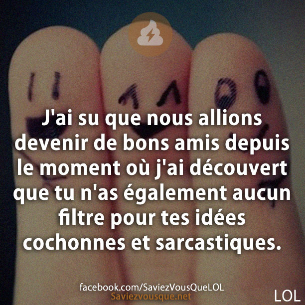 J&#039;ai su que nous allions devenir de bons amis depuis le moment où j&#039;ai découvert que tu n&#039;as également aucun filtre pour tes idées cochonnes et sarcastiques.