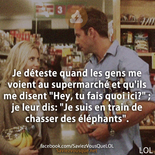 Je déteste quand les gens me voient au supermarché et qu&#039;ils me disent &quot;Hey, tu fais quoi ici?&quot; ; je leur dis: &quot;Je suis en train de chasser des éléphants&quot;.