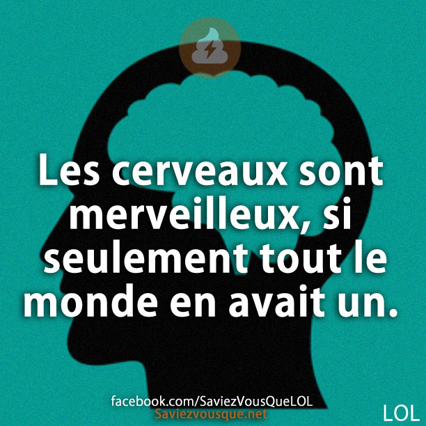 Les cerveaux sont merveilleux, si seulement tout le monde en avait un.