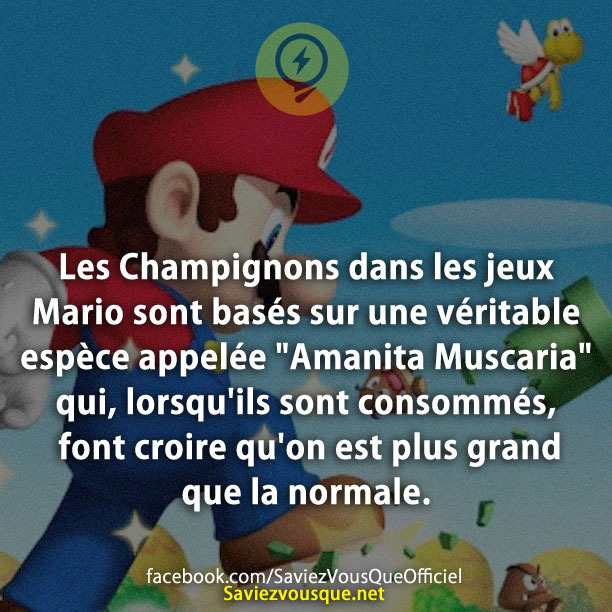 Les Champignons dans les jeux Mario sont basés sur une véritable espèce appelée &quot;Amanita Muscaria&quot; qui, lorsqu&#039;ils sont consommés, font croire qu&#039;on est plus grand que la normale.