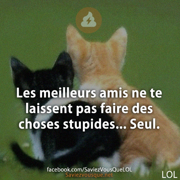 Les meilleurs amis ne te laissent pas faire des choses stupides... Seul.