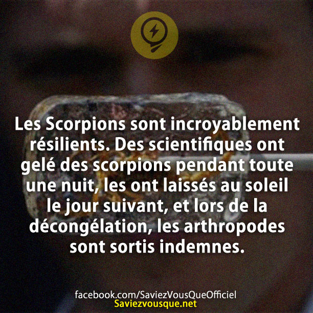 Les Scorpions sont incroyablement résilients. Des scientifiques ont gelé des scorpions pendant toute une nuit, les ont laissés au soleil le jour suivant, et lors de la décongélation, les arthropodes sont sortis indemnes.