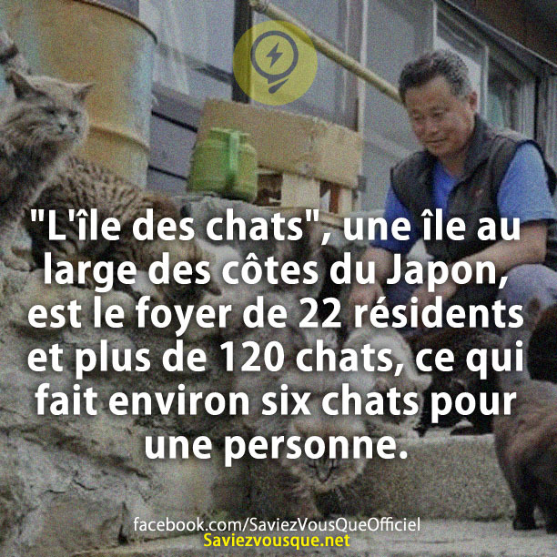 &quot;L&#039;île des chats&quot;, une île au large des côtes du Japon, est le foyer de 22 résidents et plus de 120 chats, ce qui fait environ six chats pour une personne.