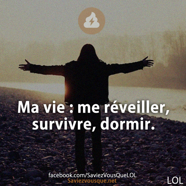 Ma vie : me réveiller, survivre, dormir.