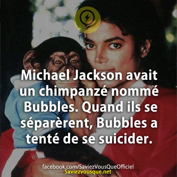 Michael Jackson avait un chimpanzé nommé Bubbles. Quand ils se séparèrent, Bubbles a tenté de se suicider.