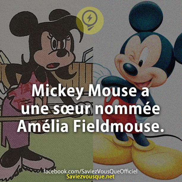 Mickey Mouse a une sœur nommée Amélia Fieldmouse.