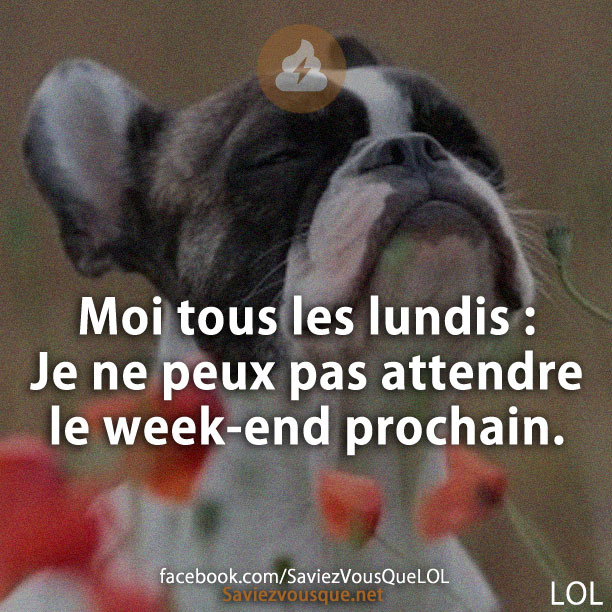 Moi tous les lundis : Je ne peux pas attendre le week-end prochain.